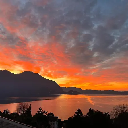 Bella Rosa ギッファ